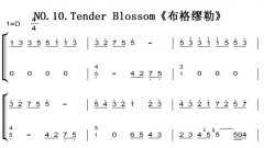NO.10.Tender Blossom