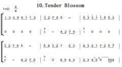 ռϰ25NO.10.Tender Blossom ׼׿