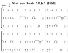 What Are Wordsԭ棩  ˫ּ 