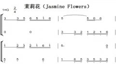 򻨣Jasmine Flowers ͯ򵥰 ˫ּ 