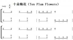 ʮ÷Ten Plum Flowers ͯ򵥰 ˫ּ 