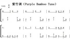 Purple Bamboo Tune ͯ򵥰 