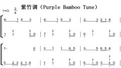 Purple Bamboo Tune ͯ򵥰 ˫ּ 