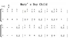 Marys Boy Child ʥ ʥڳѧ߰ ˫ּ 