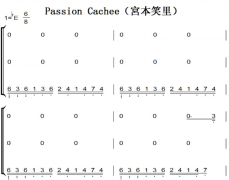 Passion CacheemЦԭ ԭ ˫ּ  ټ