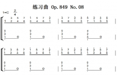 C.Czneryᣩϰ Op.849 No.08 ԭ ˫ּ  ټ 