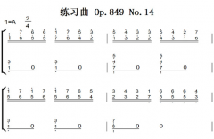 C.Czneryᣩϰ Op.849 No.14 ԭ ˫ּ  ټ 