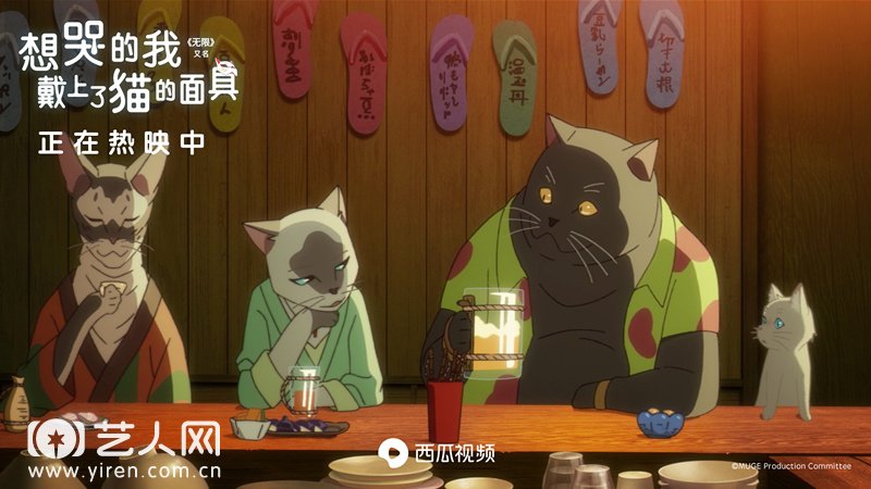 太郎和其他猫咪一起闲聊.jpg
