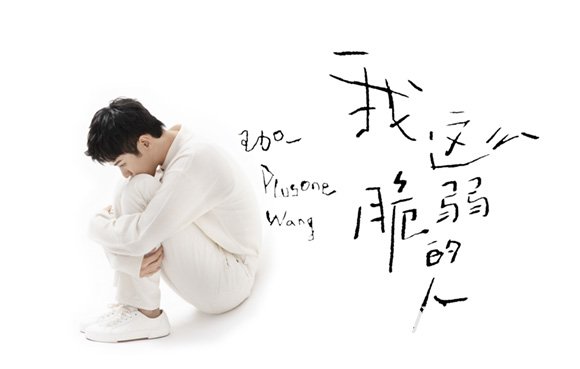 王加一专辑《我这么脆弱的人》上线2 拷贝.jpg